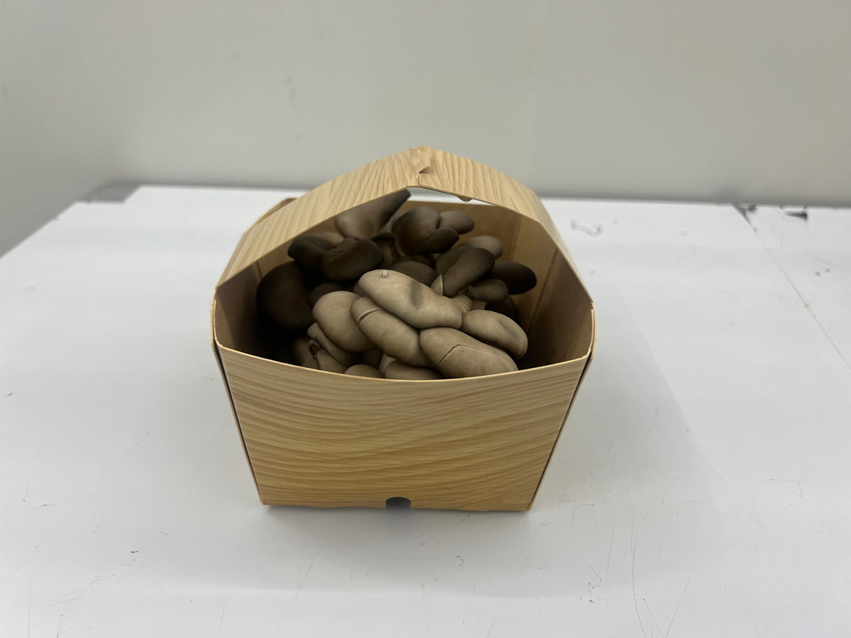 1/2 Lb Oyster Mushroom box
